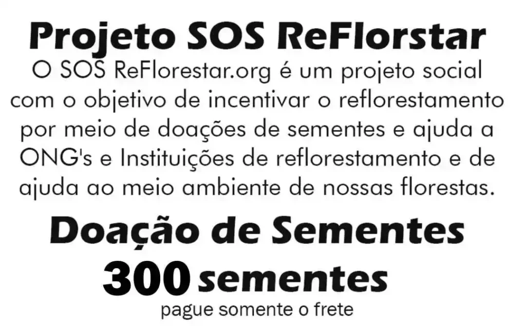 Suculentas