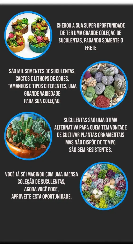 Suculentas