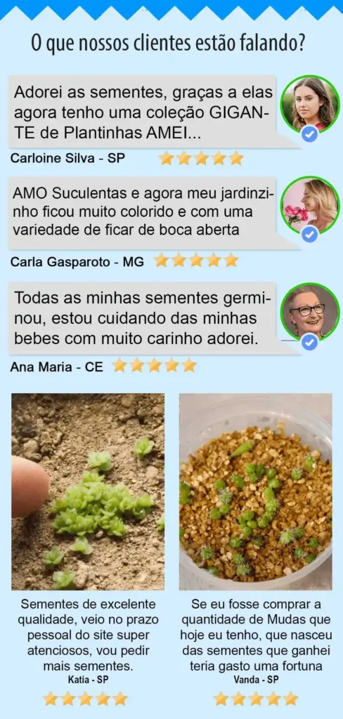 Suculentas