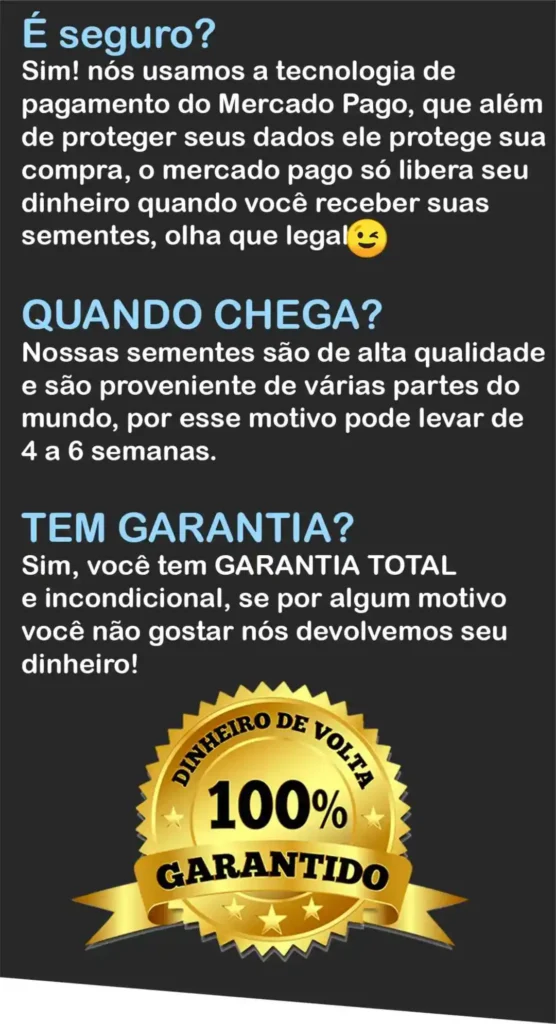 Suculentas
