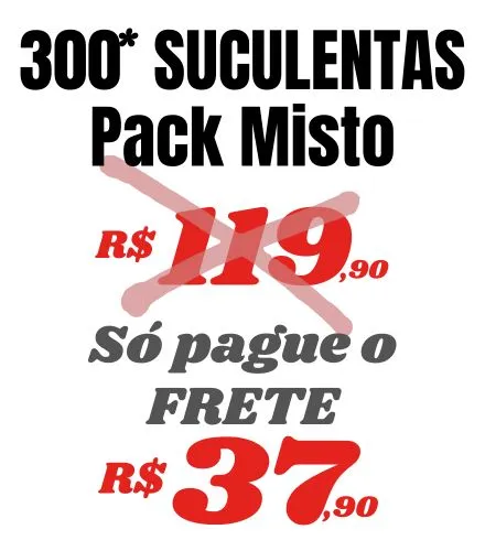 Suculentas
